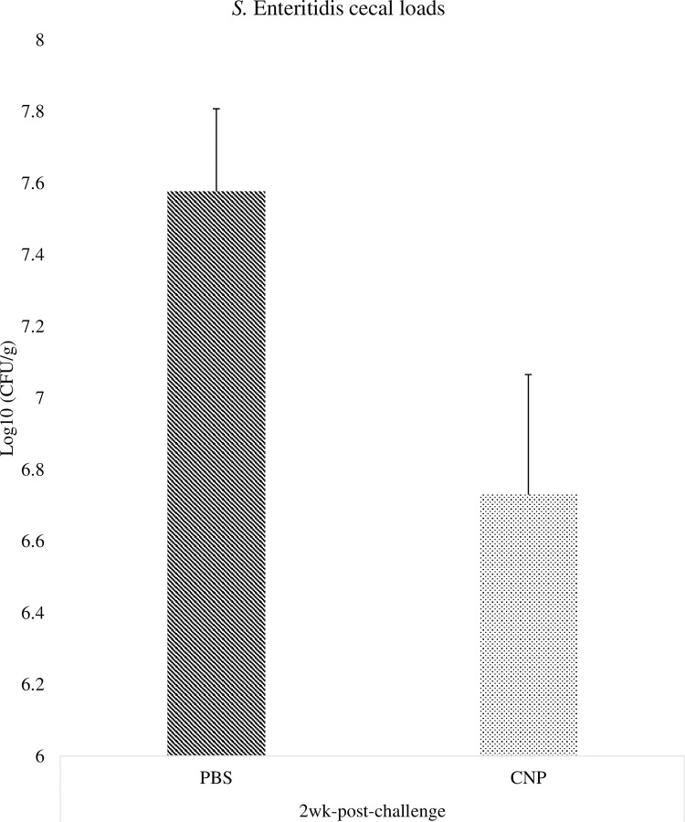 Fig 5