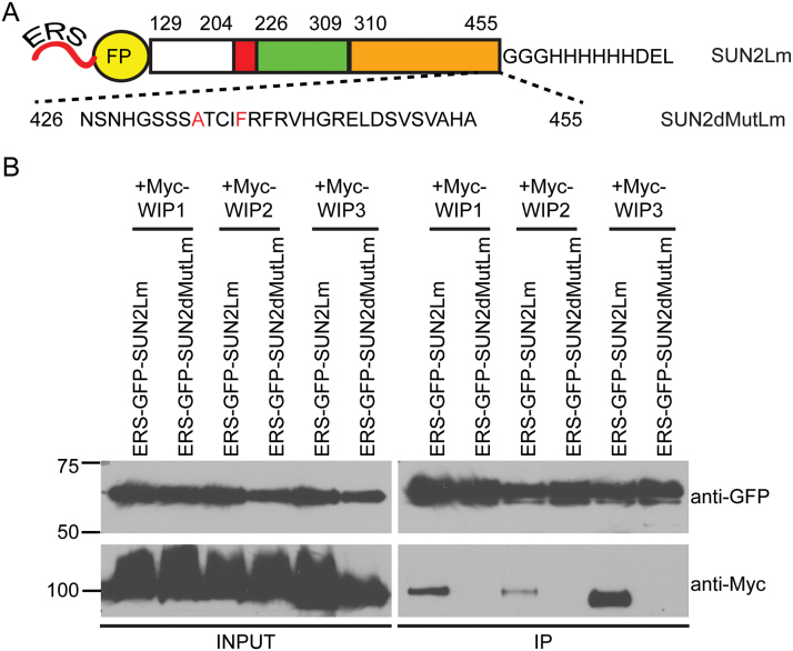 Fig. 2.