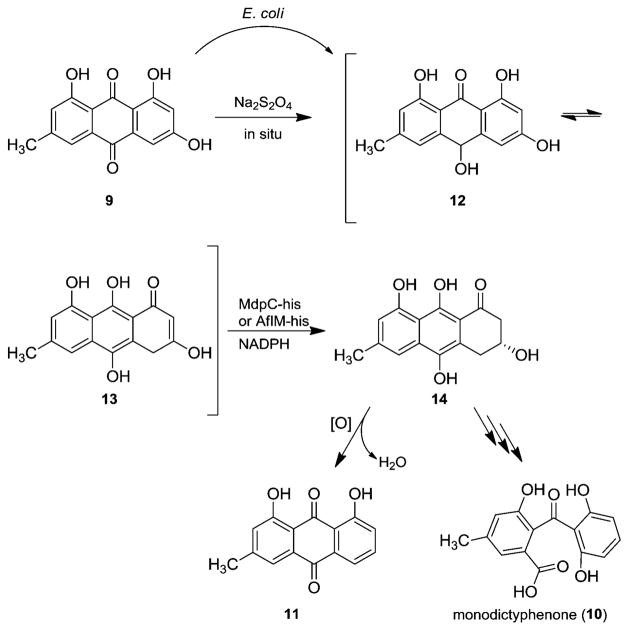 Scheme 2