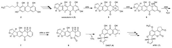 Scheme 1