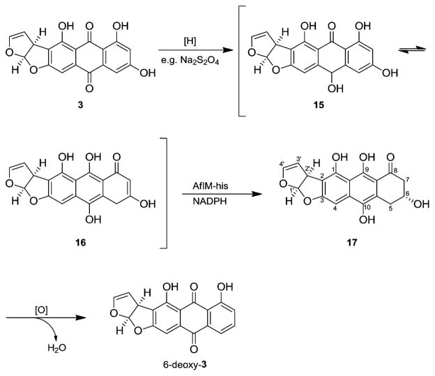 Scheme 3