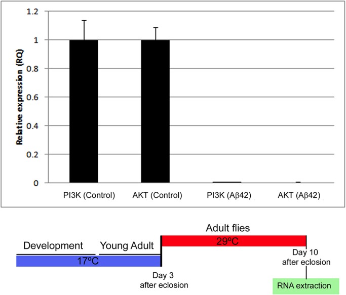 FIGURE 11: