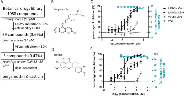 FIG 1