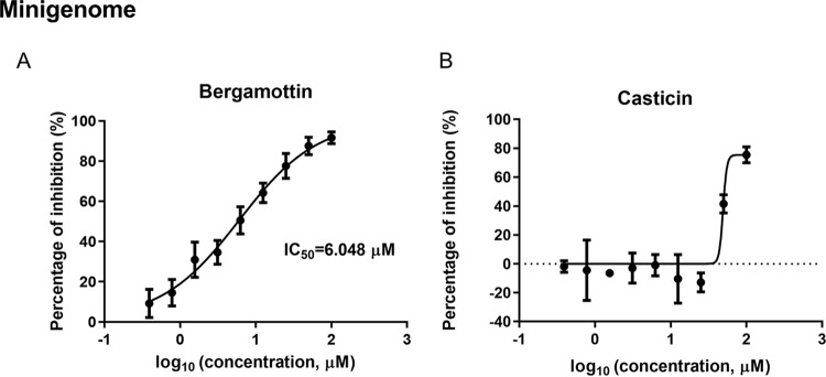 FIG 7