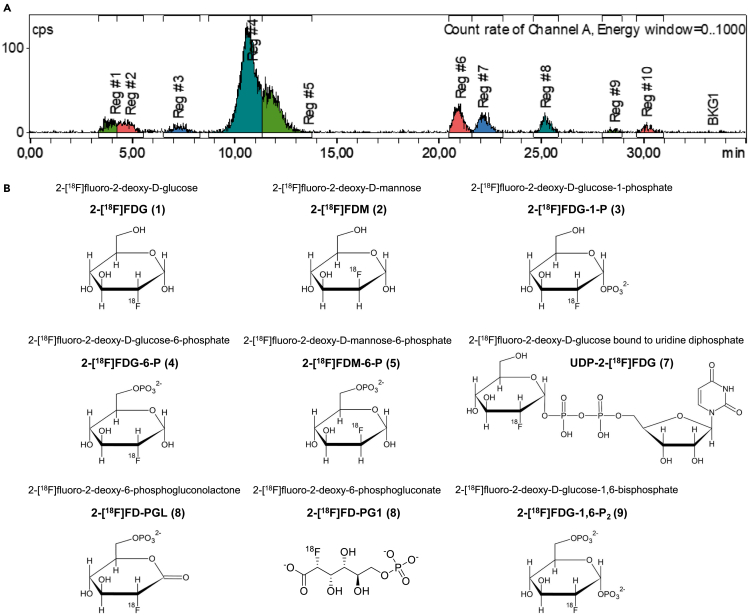 Figure 1