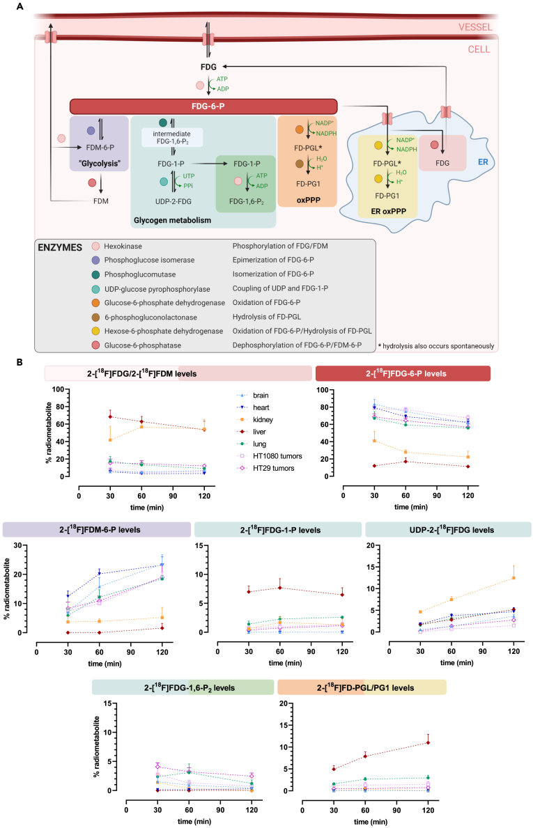 Figure 3