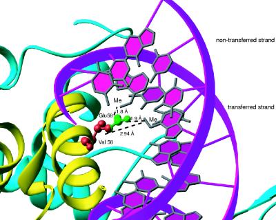 FIG. 6.