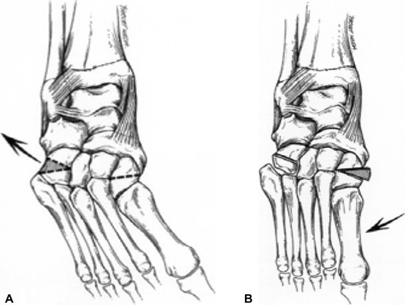 Fig. 4