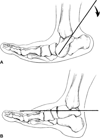 Fig. 8