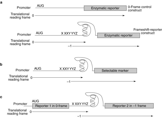 Fig. 5