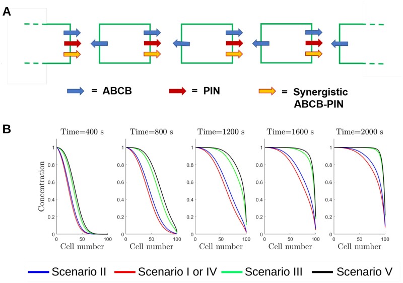 Figure 5