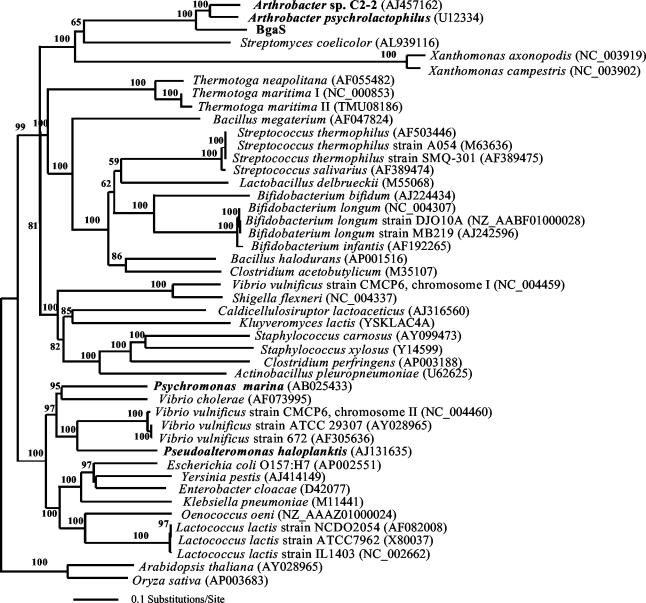 FIG. 2.