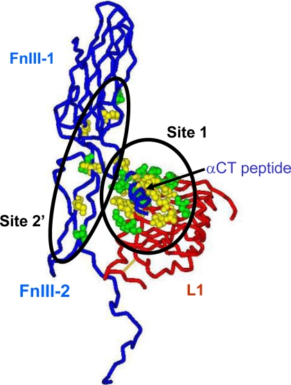 FIGURE 9.