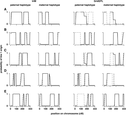 Figure 6 