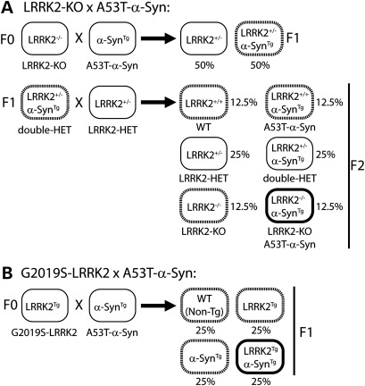 Figure 1.