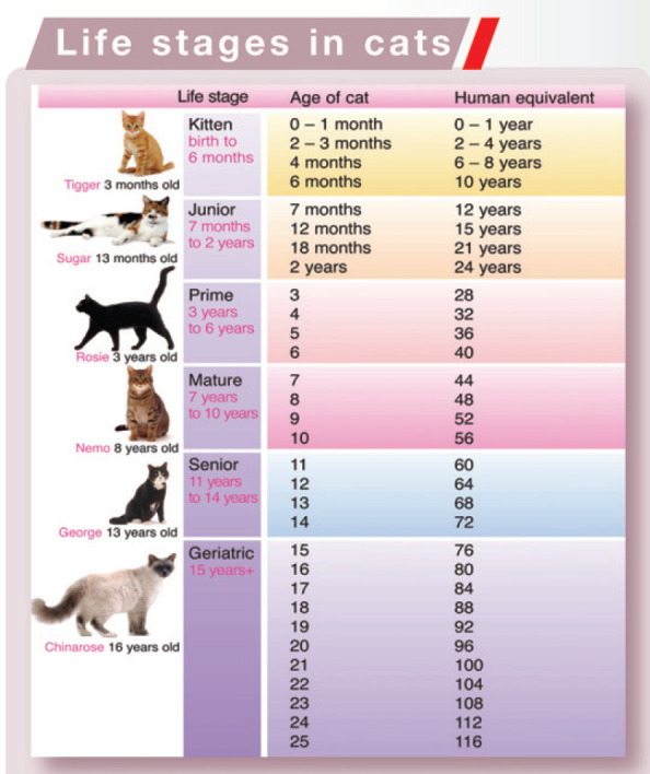 graphic file with name 10.1016_j.jfms.2009.12.006-fig5.jpg