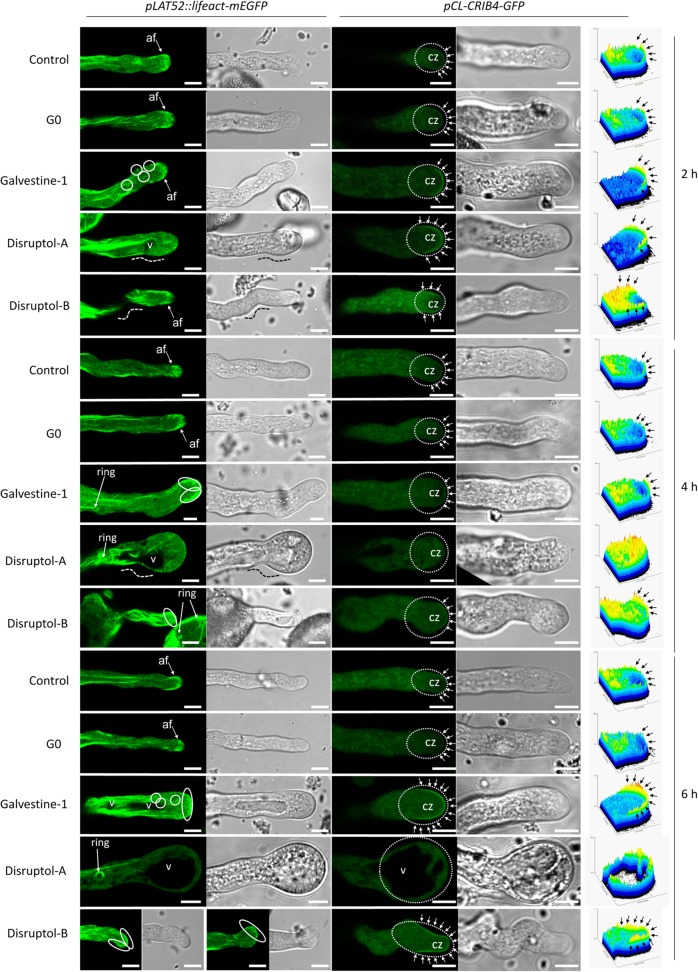 Fig. 6