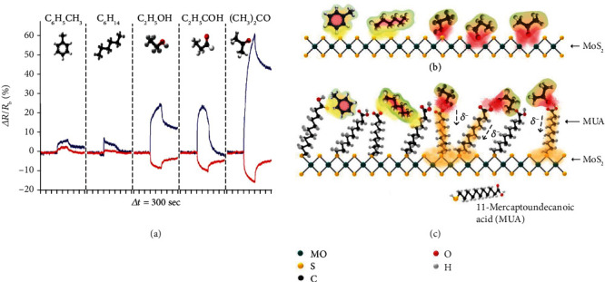 Figure 11