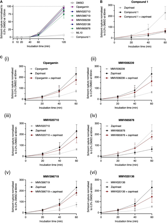 Figure 7