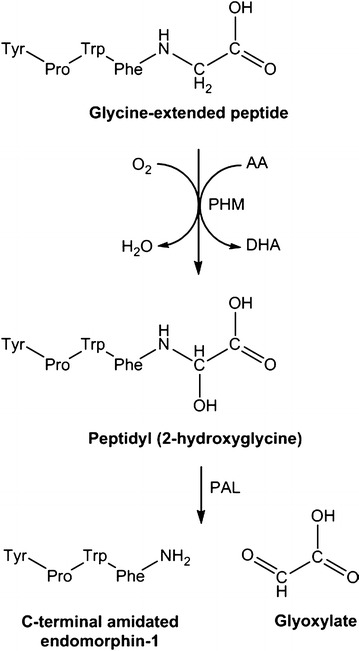 Fig. 1