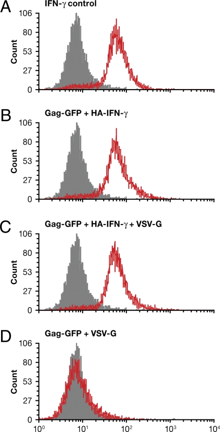 Fig. 8.