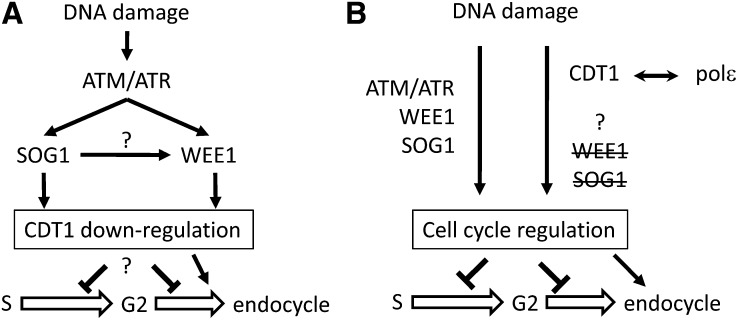 Figure 9.