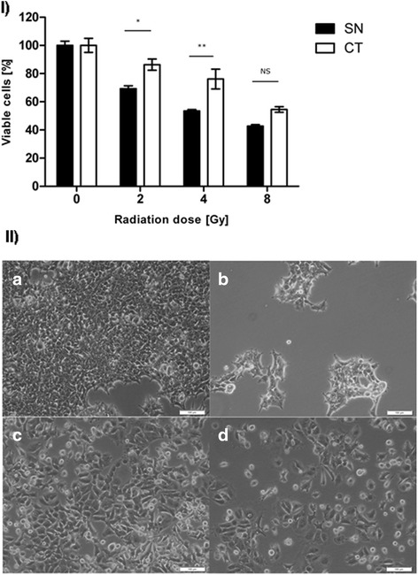 Fig. 11