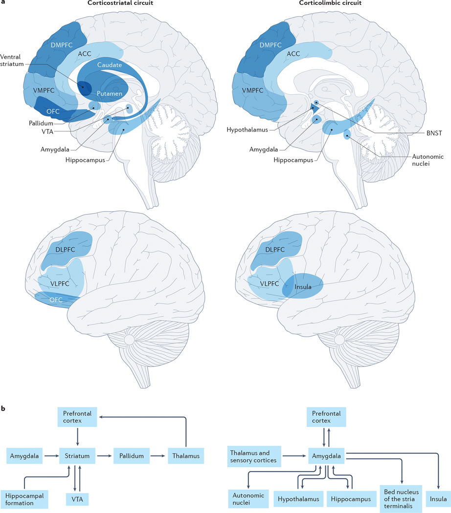 Fig 1: