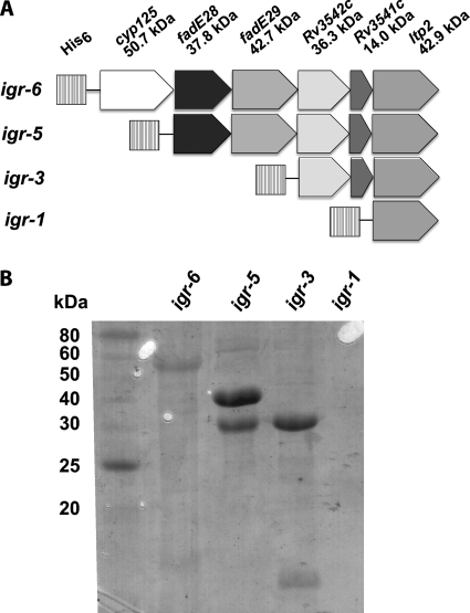 FIGURE 7.