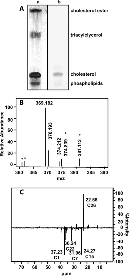 FIGURE 3.