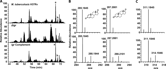 FIGURE 4.