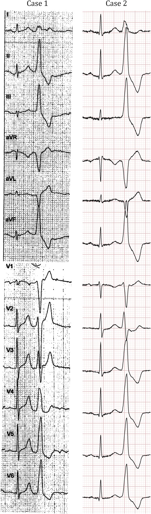 FIGURE 1.