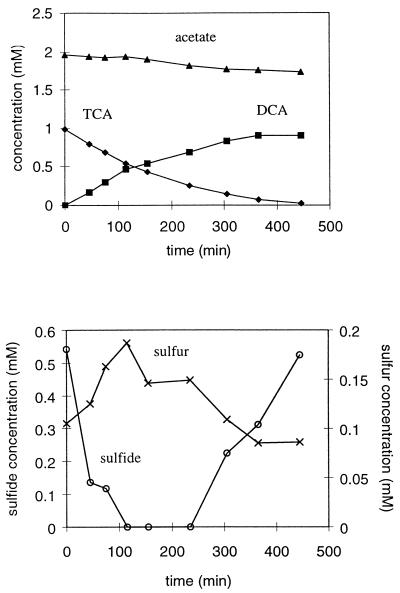 FIG. 5