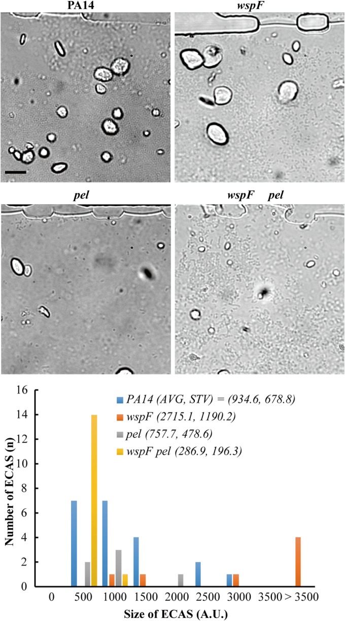 FIG 5