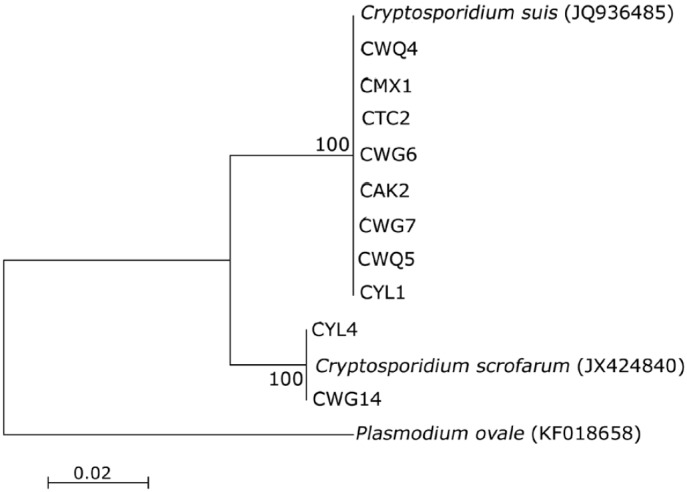 Fig. 2.