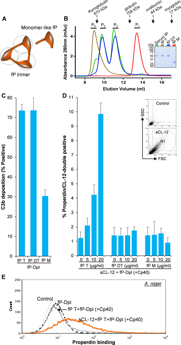 Figure 5.