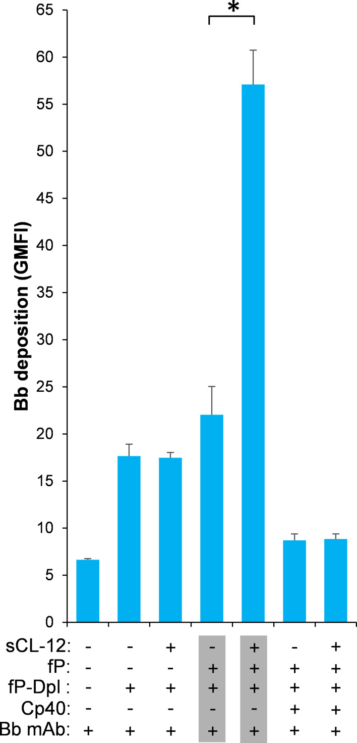 Figure 6—figure supplement 1.