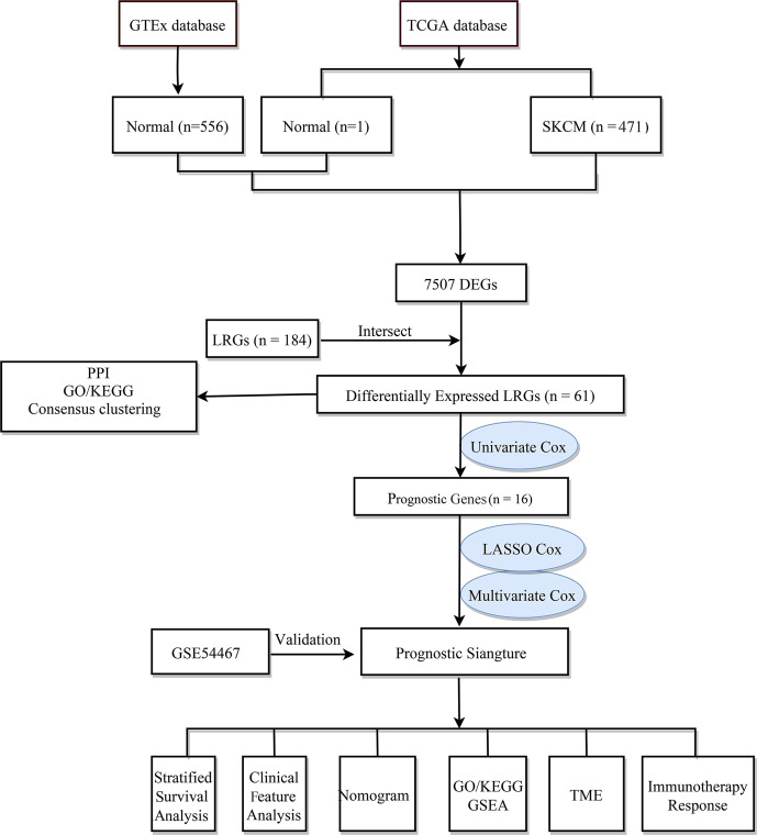 Figure 1