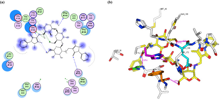 Fig. 10