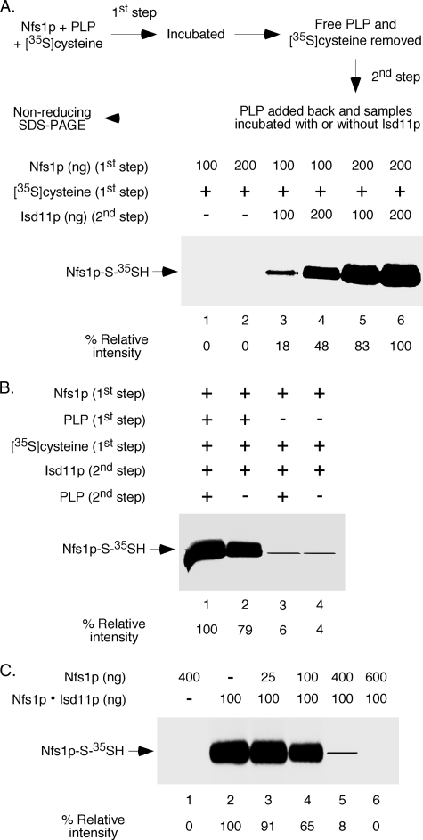 FIGURE 4.