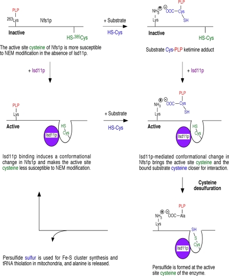 FIGURE 7.