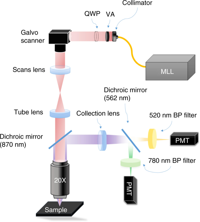 Fig. 2