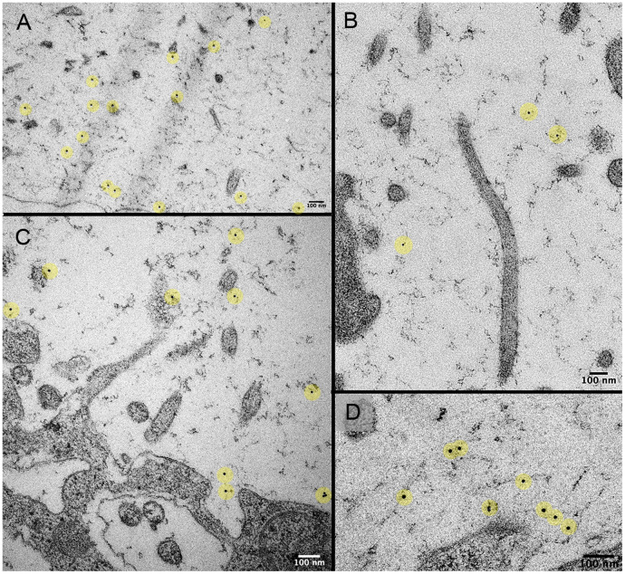 Fig 6