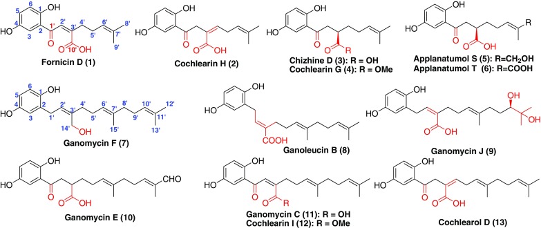 Fig. 1