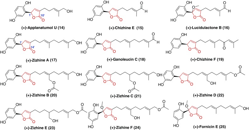 Fig. 2