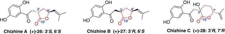 Fig. 3