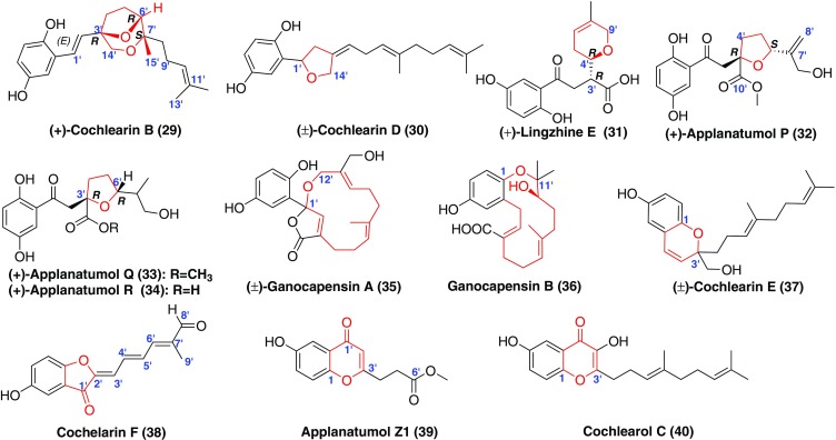 Fig. 4