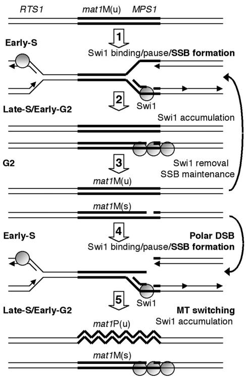 FIG. 7.