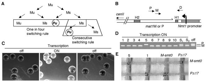 FIG. 1.