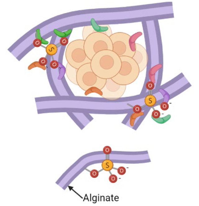 graphic file with name nihms-1738694-f0001.jpg